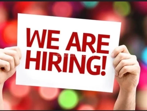 (321)315-2673 is Latinoand offers nuru massages, asian massage, bodyrubs in Orlando and available for incall on rubrankings We currently have an opportunity for you to join our team. Due to our increased success over the past 12 years we need to add 2 reliable females. 

This is an incall only position located by the airport. Extremely clean and well managed location. 

We have availability to hire 
1) 9-5 shift 
1) 4-11 shift 
1) PT Sat/Sun only shift 

 If interested in discussing further please TEXT current pictures of yourself and all related work experience. 

You MUST be reliable, well spoken, committed, personable and get along well with others. 

We do NOT hire traveling work positions 