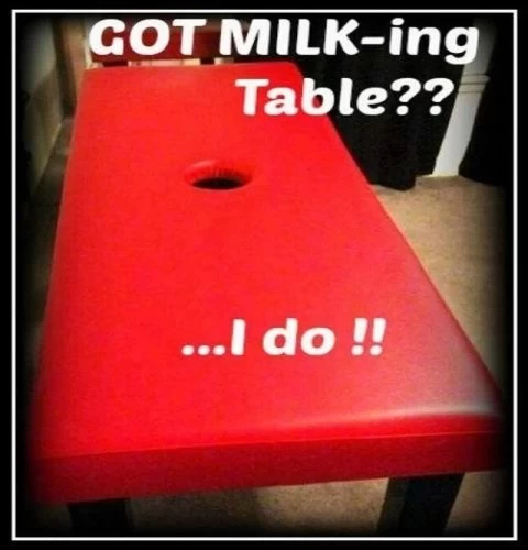 PROSTATE Milking/Teasing Erotic Massage by SKILLED