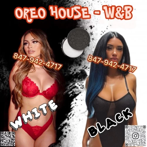 (847)942-4717 offers Bodyrubs in Chicago,Illinois (847)942-4717 is ethnicity_Caucasianandoffers nuru massages, asian massage, bodyrubs in Chicago and available for service_location_incallon rubrankings Taking "White Blondes" & "Black Chocolates" At Same Time Is The Extremest Way To Enjoy The "Two Different Worlds" Like Bang "Angel & "Devil" Simultaneously.
We’re so proud of our genius ideas of combining WHITE & BLACK together to surprise and shock your vision and all sensual organs! This is incredible and epic creation! Whites & Blacks stack together like OREO and Sandwich, just bite it! Every Day 3 Whites & 3 Blacks lineup For You To Choose!
Dating & Enjoying An Charming White Blonde Is 99% Of Men’s Dream! Why They’re Getting Addicted To Blonde Hottie?  Fitness! Curvy! Busty! Raised Round Firm Butt! Damn Sexy Legs! Blue/Green Eyes! Blonde Hair! Sexy Lips! Ravishing Moaning In Bed! And … … Numerous Beautiful Words Waiting Behind To Describe These Stunners! 
Hard To Find High Quality Clean Elegant Black Steak? We Solve It And Will Continuously Get You REAL Black Players Regularly! The Most Flexible Stretched Body Is Able To Rock Any Pounding Position! Super Wild And Crazy! All Our Black Kitties Are From American Domestic or Europe With Verified Hygiene Status & Identification Certified! 
With Our “White & Black Mistressess”—Your Underground Relationships / Lovers, They came together and build a “Special Force Team” with the same goal, which focuses on boosting your “Dirty Disloyal Experience” to Maximum, and fulfill your psychopath desires! 
We Change New W&B Hotties Every 10 Days, Save And Use Our Official Channels For All Updated Accurate Real-Time New Arrivals In Any Convenient Time You Can!
•	Instagram: remixcolorblast
•	WhatsApp: 773-416-0204
•	WhatsApp Channel: https://whatsapp.com/channel/0029VbAPupm4o7qIOZ2zWX33
Book Your Biggest Contrast “OREO BITES” With Freshly Imported White Blondes & Black Chocolates @: 847-942-4717
Hours: 10:00am ~ 2:00am Every Day