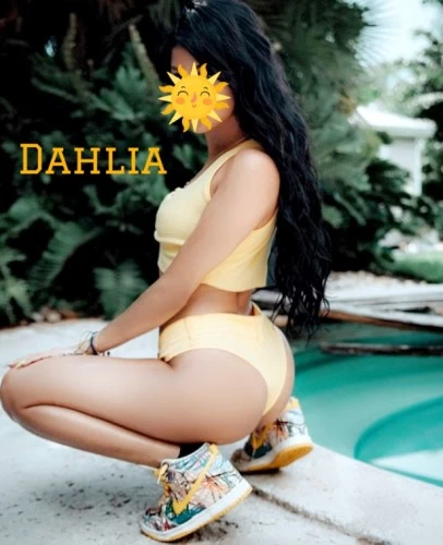 Chicago BodyRubs Offered By (708)797-1916 | Bodyrubs (708)797-1916 is Latinoand offers nuru massages, asian massage, bodyrubs in Chicago and available for incall on rubrankings Hi I'm DAHLIA,
I’m your Latina dream girl, 1000% real & drama free:)
All Natural body 🥰
Now located in a private room, ensuring Safety, Cleanliness, and Privacy.
Come by & be pampered like the king you are! I cannot wait to meet you!!!
(773) 742-7745
NO LAW ENFORCEMENT !!!
BOOKINGS SUBJECT TO SCREENING:)
Nude 30min session —> 180
Nude hour session —> 250
Upgrades —> 320/ 380
2 girl options available! <3 ((prebook only))
Monday - Friday 9am - 5pm
Contact me at 773) 742-7745 to book an appointment or check availability. No vulgar or obscene language!
TEXT PREFERRED** PRE BOOK PREFERRED!
(773) 742-7745
UPSCALE GENTLE MAN ONLY!!!!
***NO CALL NO SHOWS WILL BE PERMANENTLY BLOCKED :))