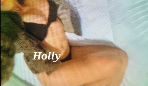 (347)746-3130 is ethnicity_Caucasianandoffers nuru massages, asian massage, bodyrubs in Philadelphia and available for service_location_bothon rubrankings    Hello, I am very pleased to meet you! My name is Holly. I am curvy, 5"2, 112 lbs, have bobbed brunette hair with 32C, 26, 34 measurements. I have smooth, creamy skin, no tattoos and no piercings. You will be very pleased with how friendly, kind and pleasant I am. 
   I give an authentic massage and provide a serene, cool and lovely atmosphere set in a quiet, beautiful neighborhood. You will be well accomodated with everything you need to have great comfort and be transformed by having your stress taken away. Your comfort and well being is of the utmost importance to me.
  Please, calls only at this time, texts will not be answered. My apologies for any inconvenience this may pose. I will announce when texts can and will be possible. Thank you for your consideration and understanding!
   I look forward to seeing you!
                             XOXOXO
                                     Holly
   