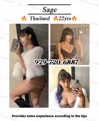 (929)720-6887 is 0and offers nuru massages, asian massage, bodyrubs in San diego and available for incall on rubrankings ✅BBFS SERVICE AVAILABLE✅BBFS & ANAL
👅Promise again👅
👅All the gals here are not clock watcher👅
👅New gal brings new skills👅
🔥If you don't want to wait 30-40mins,plz book before coming🔥
💋All the gals can do the basic services below💋
🔥BBBJ🔥ANAL🔥CIM🔥P-LICKING🔥HJ🔥D-STYLE🔥FS🔥

🌟Details & Surprise skills🌟
💦Taiwanese Ophelia💦25yrs
👙My huge areola and nipples get hard, hot, and swelling when I become super thirsty and horny! That's the time that I need your help~👙
🔥Services feeling: Arousing🔥

💦Thailand Sage💦22yrs
👙More benefits of doggystyle sex, less efforts, more pleasure, ultimate orgasm.👙
🔥Services feeling:All-consuming🔥

💦Vietnamese Ember💦28yrs
👙I lost a precious jewel, please conduct a very thorough search among my pussy, in return, I'll wash your cock clean with my saliva.👙
🔥Services feeling: Captivating🔥
🔥Star Services:💥BBFS💥

💦Vietnamese Mallory💦22yrs
👙I've been blessed with curves that make any man sweat, this shows when you see me from below.👙
🔥Services feeling: Sizzling🔥
🔥Star Services:💥BBFS💥

💦Vietnamese Gabriella💦23yrs
👙Wet just enough to let your big huy in~ I enjoy the feeling of your sticking knobbing and wandering my soft tight tunnel. Say fuck, need your rocket launch to the spot~👙
🔥Services feeling: Alluring🔥
🔥Star Services:💥BBFS💥

💦Taiwanese Helen💦24yrs
👙Mutual oral class for you: your huge cock be lined up with my mouth, and my dripping pussy be lined up with your mouth.👙
🔥Services feeling: Intoxicating🔥
🔥Star Services:💥BBFS💥

☎️☎️929-720-6887☎️