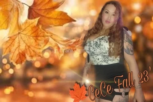 (502)806-3337 is Caucasianand offers nuru massages, asian massage, bodyrubs in Louisville and available for incall on rubrankings  Hey y'all,
 
  🧡 I'm a Long time, Well established, and highly favored provider here Thankful to have your time and business. 🫶
 & It shows in my demeanor & Luxe Sessions
        
  🫶Let's unwind together in my cozy abode (est in 2014) Office location, private parking. 
 
 🌼 I'm CeCe a bluegrass native, with southern charm. 
 I am well Trained, and experienced. 
 
  👌Aiming to please, luxe table- 3in memory foam you can easily start to drift off. 
 Organic, warmed lotions. Essential oils, and hot towel service always.
 
      🌞 Escape your Norm if only for 60, 75, 90, or 120 minutes. hot towel service, nano steam facials (complimentary with 90 mins+) Paraffin Wax for feet and hands, foot care, hair removal-wax or trimming, and even heated eye mask. 

    
    ✨Must have a reference or be willing to Verify. 

   No calls/text after 8 PM. 

 🏆Now Adding fav 5 TOP Providers, you should also visit. 

 

           

 